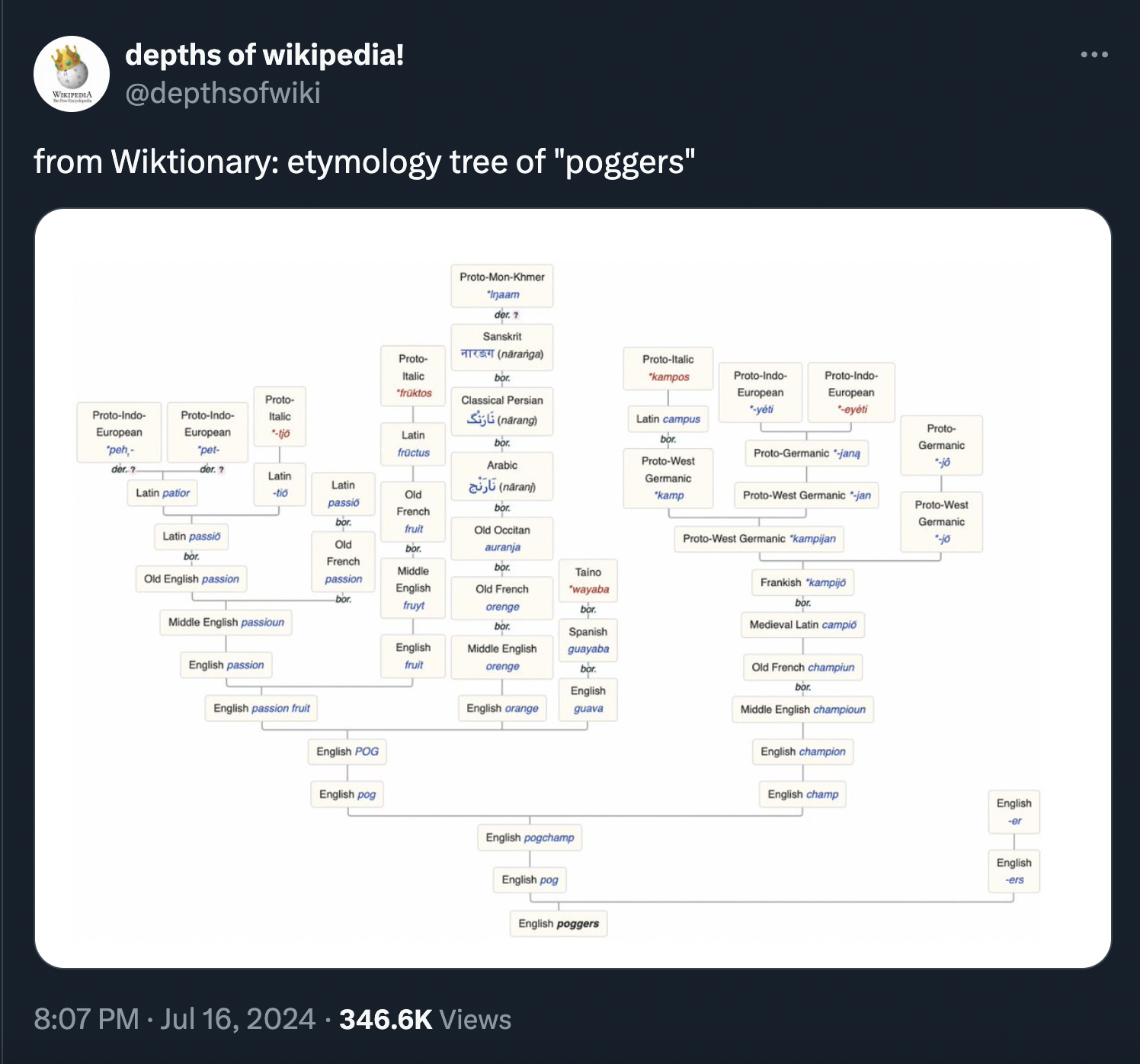 screenshot - depths of wikipedia! from Wiktionary etymology tree of "poggers" Prote Pi ana 1111111 French Engla English H Eng Onc 111111 . Views Old French English chan Pro Geme Engleh English